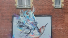 Photograph of a mural of a colourful flying hummingbird against a Victorian brick wall, beneath windows covered with bars.